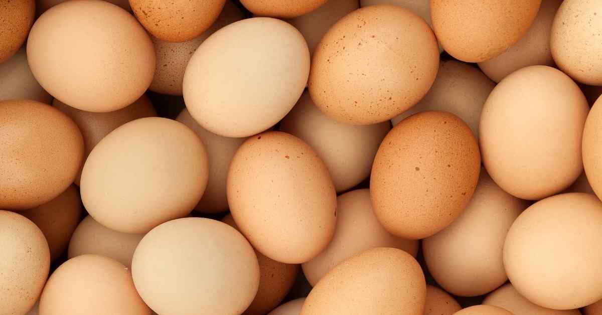 Intip Perbedaan Telur Ayam Kampung dan Telur Ayam Negeri